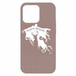 Apple iPhone 13 Pro - FATLINE