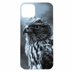 Apple iPhone 14 Plus