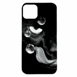 Apple iPhone 14 Plus