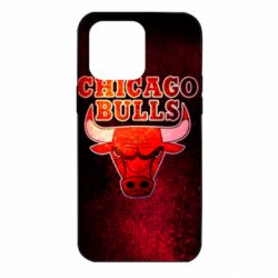 Чехол из раздела Баскетбол Chicago Bulls для Apple iPhone 14 Pro Max