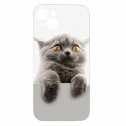 Apple iPhone 15 Plus