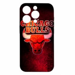 Чехол из раздела Баскетбол Chicago Bulls для Apple iPhone 15 Pro