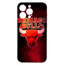 Чехол из раздела Баскетбол Chicago Bulls для Apple iPhone 15 Pro Max