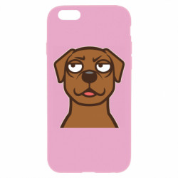 Apple iPhone 6 Plus/6S Plus