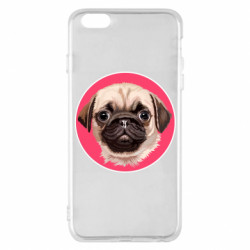 Apple iPhone 6 Plus/6S Plus