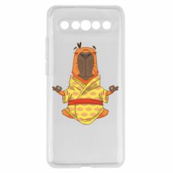 Meizu 17/17 Pro