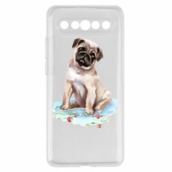 Meizu 17/17 Pro