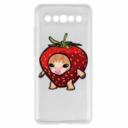 Meizu 17/17 Pro