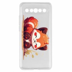 Meizu 17/17 Pro