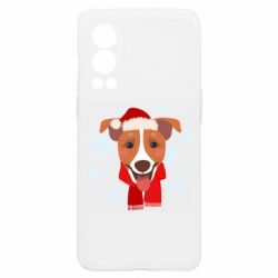 OnePlus Nord2 5G