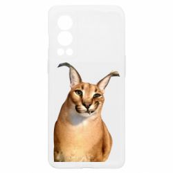 OnePlus Nord2 5G