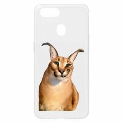 Oppo A5s/A12