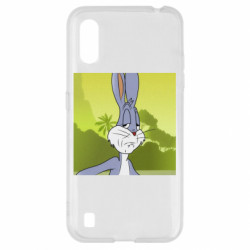 Samsung A01/M01