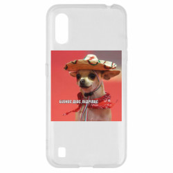 Samsung A01/M01