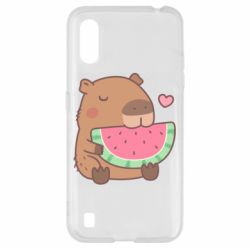 Samsung A01/M01