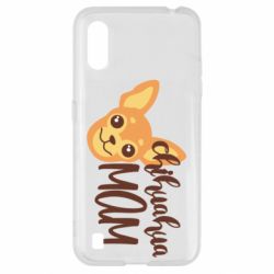 Samsung A01/M01