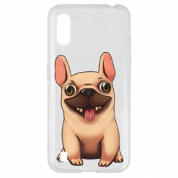 Samsung A01/M01