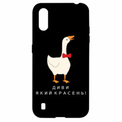 Samsung A01/M01
