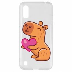 Samsung A01/M01