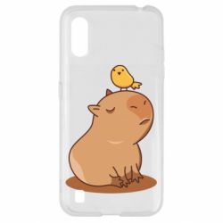 Samsung A01/M01