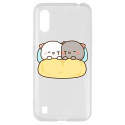 Samsung A01/M01