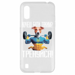 Samsung A01/M01