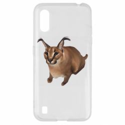 Samsung A01/M01