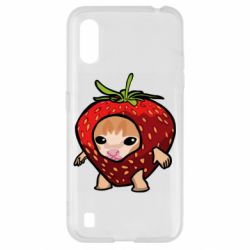 Samsung A01/M01