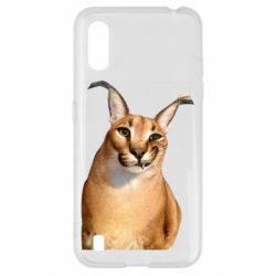 Samsung A01/M01