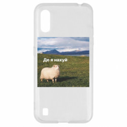Samsung A01/M01