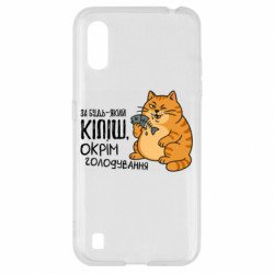 Samsung A01/M01