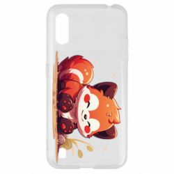Samsung A01/M01