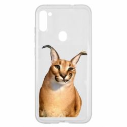 Samsung A11 / M11
