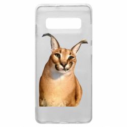 Samsung S10+