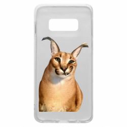 Samsung S10e