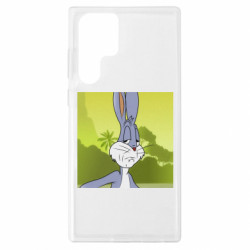 Samsung S22 Ultra