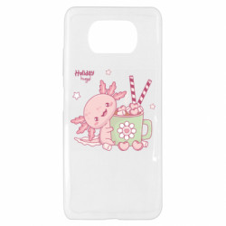 Xiaomi Poco X3