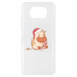 Xiaomi Poco X3