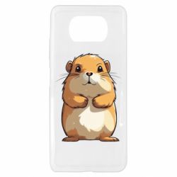 Xiaomi Poco X3