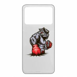 Xiaomi Poco X4 Pro 5G