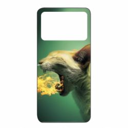 Xiaomi Poco X4 Pro 5G