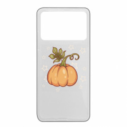 Xiaomi Poco X4 Pro 5G