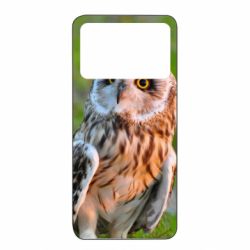 Чехол из раздела Птицы Owl on green field для Xiaomi Poco X4 Pro 5G - FATLINE Чехол из раздела Птицы Owl on green field для Xiaomi Poco X4 Pro 5G