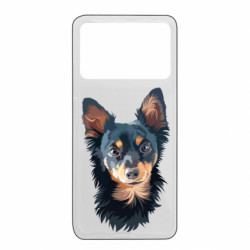 Xiaomi Poco X4 Pro 5G