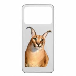Xiaomi Poco X4 Pro 5G