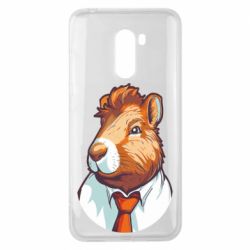 Xiaomi Pocophone F1