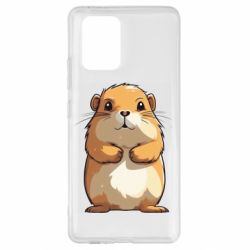 Samsung S10 Lite
