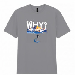 Чоловіча футболка Gildan АЛЕ ЧОМУ?