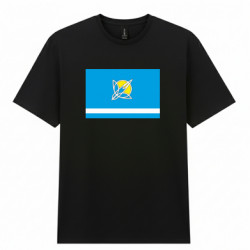 Чоловіча футболка Gildan Прапор Горішні Плавні