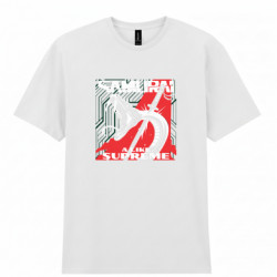 Мужская футболка Gildan Samurai - A like supreme